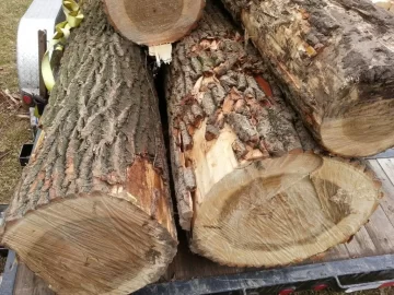 [Hearth.com] Free logs!
