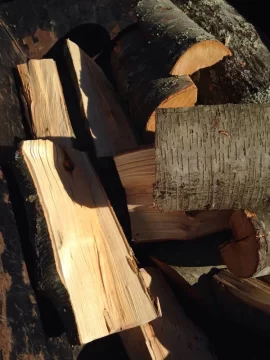 [Hearth.com] Wood ID?