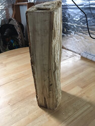 Another wood ID