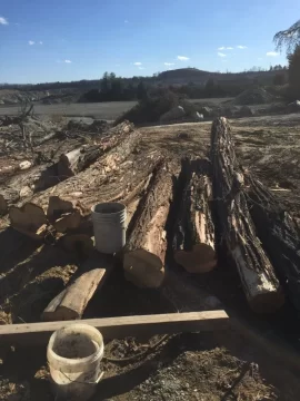 [Hearth.com] Locust?