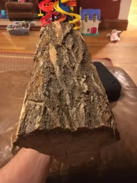 [Hearth.com] Locust?