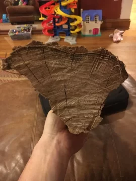 [Hearth.com] Locust?