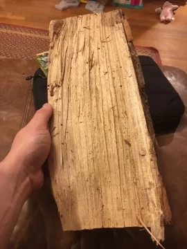 [Hearth.com] Locust?