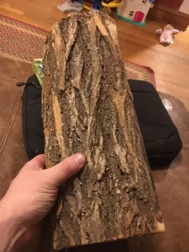 [Hearth.com] Locust?