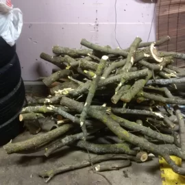 [Hearth.com] my first few loads of free wood