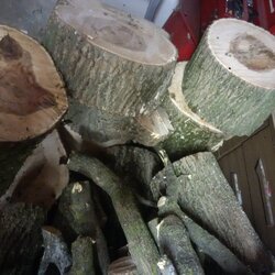 my first few loads of free wood
