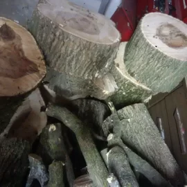 [Hearth.com] my first few loads of free wood