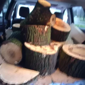 [Hearth.com] my first few loads of free wood