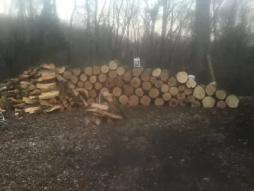 [Hearth.com] Locust?