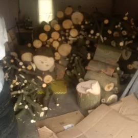 [Hearth.com] my first few loads of free wood