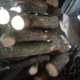 [Hearth.com] my first few loads of free wood