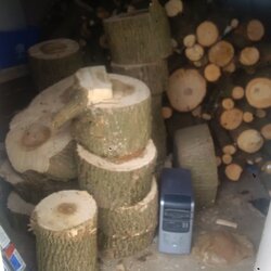 my first few loads of free wood