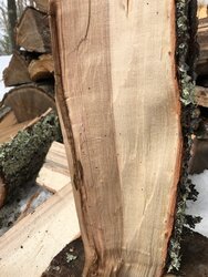 Calling our Expert Wood ID guys - Please