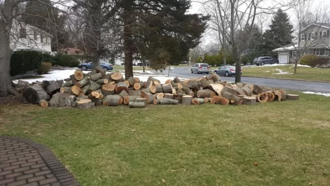 [Hearth.com] Tree Guy Hookup