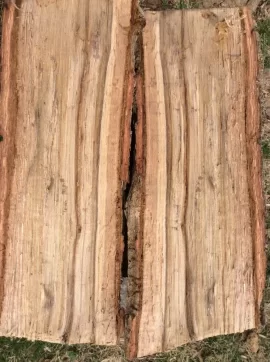 [Hearth.com] And for the latest round of wood I'd ...