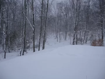 [Hearth.com] I think winter's over