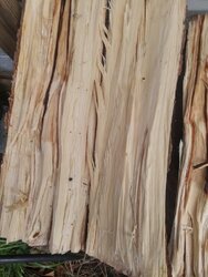 wood id/is it worth taking?