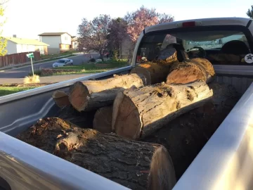 [Hearth.com] Honey Locust ? ?