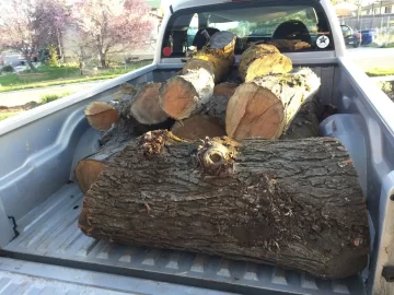 [Hearth.com] Honey Locust ? ?