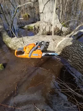 [Hearth.com] Swamp mucking for ash...