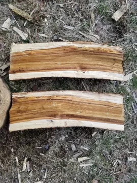 [Hearth.com] Swamp mucking for ash...