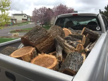 [Hearth.com] Honey Locust ? ?