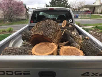 [Hearth.com] Honey Locust ? ?