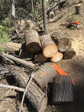 [Hearth.com] Douglas Fir score