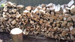 wood for winter