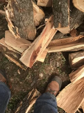 [Hearth.com] Log Score and Need ID