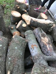 Softwood Score Tree Id help needed