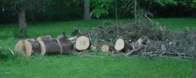 Could use help on an Ash score in zip 45305 (Bellebrook, OH)