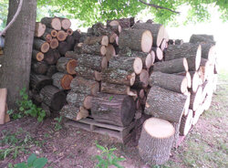Could use help on an Ash score in zip 45305 (Bellebrook, OH)