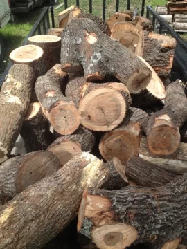 [Hearth.com] Scavenge wood or go fishing?
