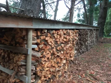[Hearth.com] New house - new stacks and a new shed pleanty of Pics