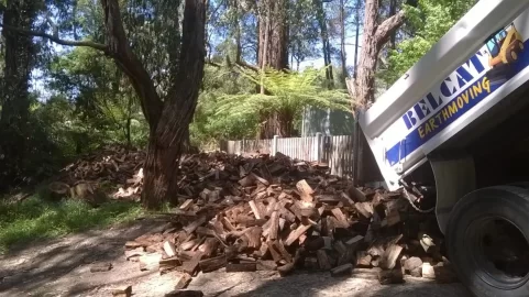 [Hearth.com] New house - new stacks and a new shed pleanty of Pics