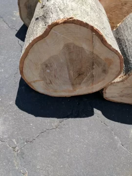 [Hearth.com] Wood I'd help pls