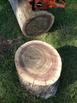 [Hearth.com] Walnut?