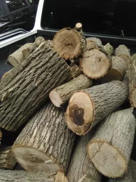 [Hearth.com] Wood ID please