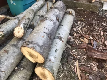 [Hearth.com] Wood Identification