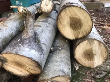[Hearth.com] Wood Identification