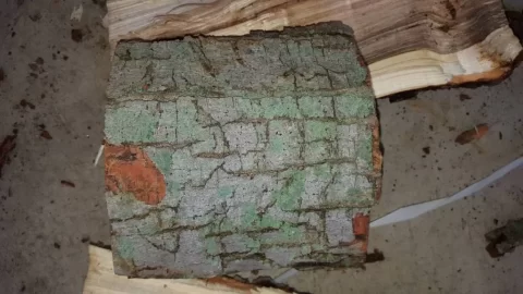 [Hearth.com] What type of wood is this that I am splitting in my garage?