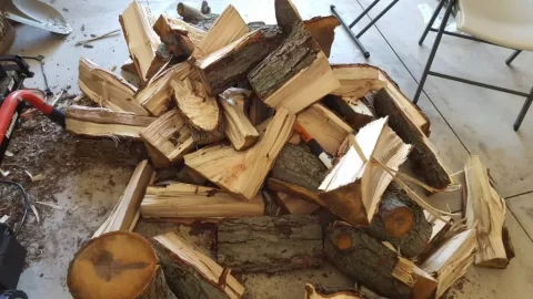 [Hearth.com] What type of wood is this that I am splitting in my garage?