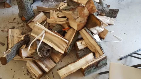 [Hearth.com] What type of wood is this that I am splitting in my garage?