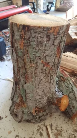 [Hearth.com] What type of wood is this that I am splitting in my garage?