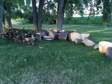[Hearth.com] What kind of pine is this?