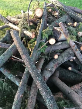 [Hearth.com] What kind of pine is this?