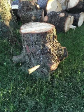 [Hearth.com] What kind of pine is this?