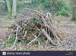 pile-of-twigs-and-branches-BXBJDW.jpg
