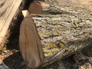 [Hearth.com] Wood ID help...Is this Red Alder